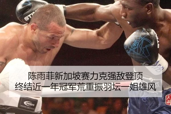 chen-yu-fei-xin-jia-po-sai-li-ke-qiang-di-deng-ding-zhong-jie-jin-yi-nian-guan-jun-huang-zhong-zhen-yu-tan-yi-jie-xiong-2-699.jpg